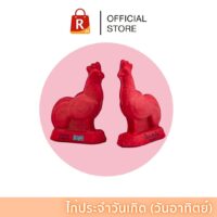 ไก่บนบานประจำวันอาทิตย์